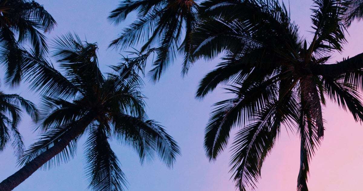 A Belize Legacy- Thoughts from a 5-time traveler