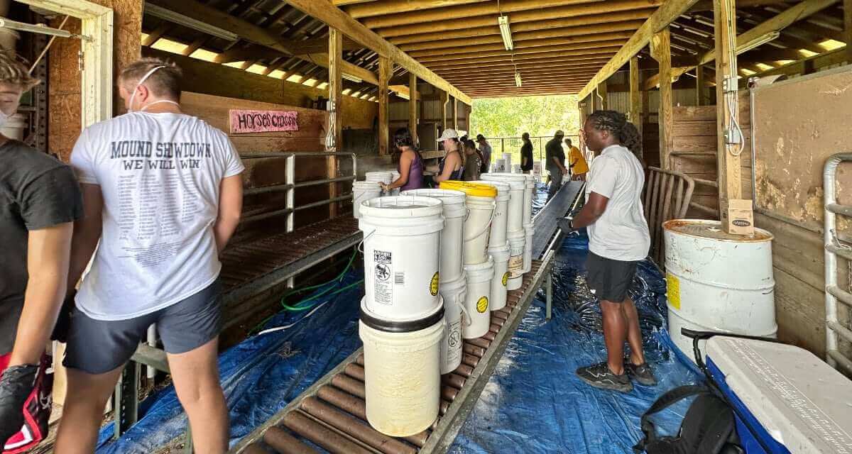 A Teen's Reflection on New Orleans A Teen's Reflection on New Orleans
