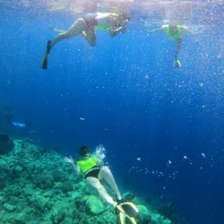 Dominica snorkling adventure