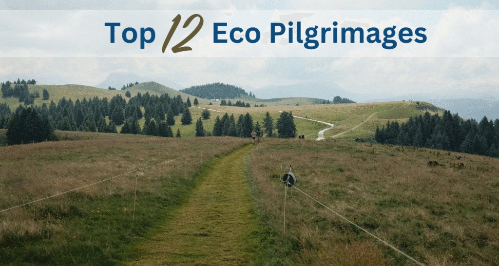 Image of grass walking trail for Wonder Voyage blog about eco pilgrimages
