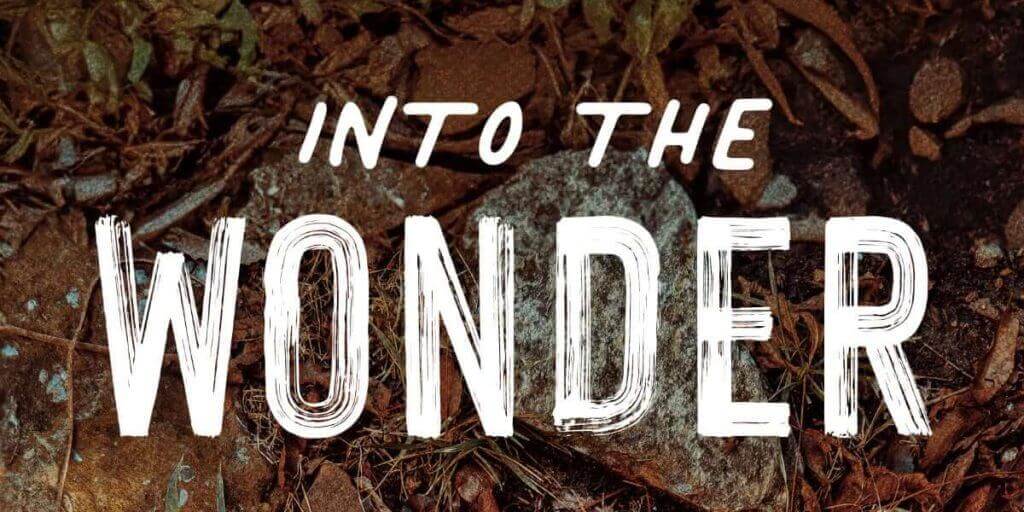 Into the Wonder Book