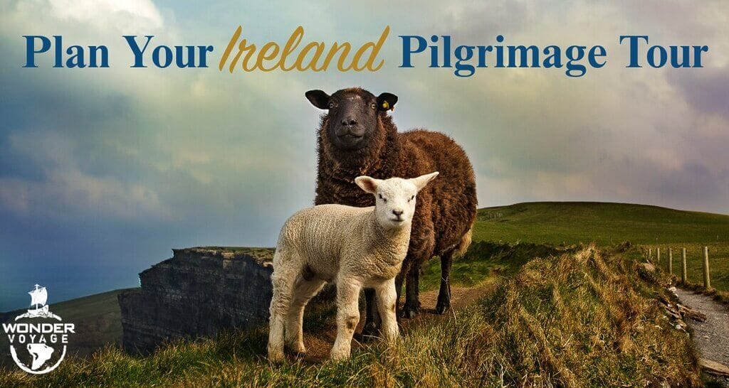 Ireland Pilgrimage Tour cover image with two sheep