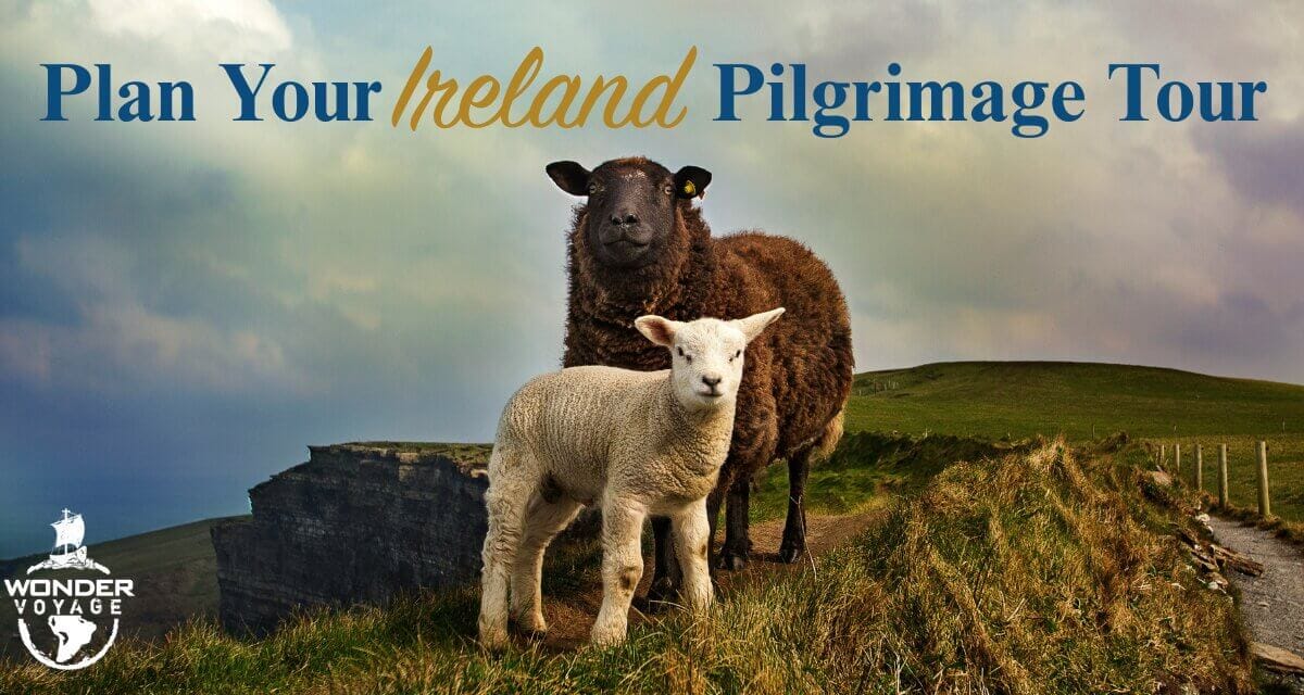 Ireland Pilgrimage Tour: Discover Sacred Sites with Wonder Voyage blog cover with two sheep
