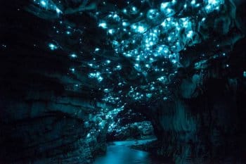 Waitomo Caves glow worms in New Zealand