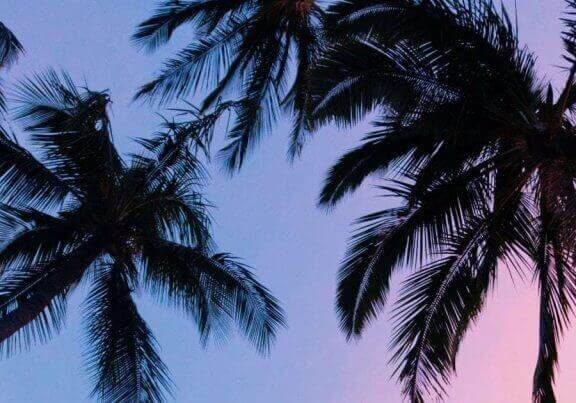 A Belize Legacy- Thoughts from a 5-time traveler