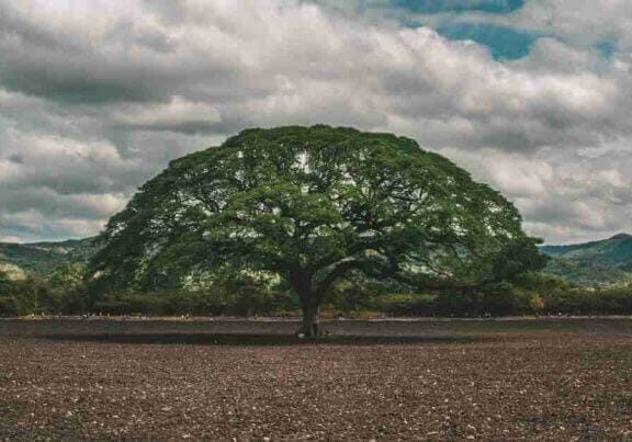 Building a Legacy in Honduras