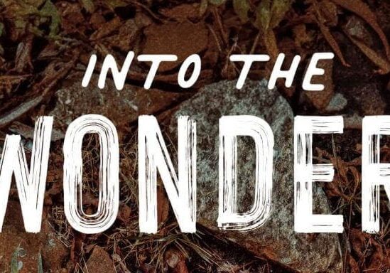 Into the Wonder Book