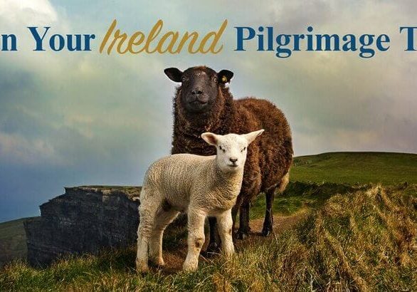 Ireland Pilgrimage Tour: Discover Sacred Sites with Wonder Voyage blog cover with two sheep
