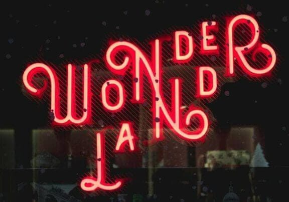 Summer 2021 Recap- Reconnecting With Wonder
