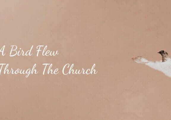 A Bird Flew Through The Church