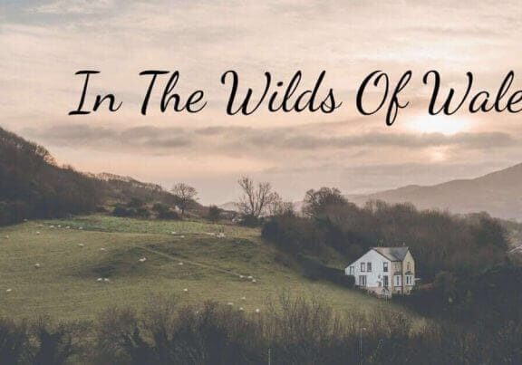 In the Wilds of Wales
