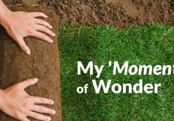 My ‘Momento’ of Wonder