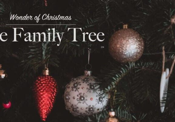 The Wonder of Christmas: The Family Tree