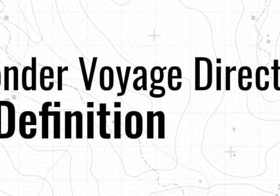 Wonder Voyage Director: A Definition