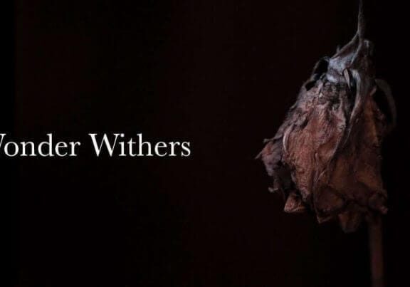 Finding Wonder Everyday: Wonder Withers