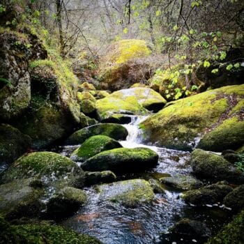 image of Huelgoat for Wonder Voyage blog post about faith-based travel to France